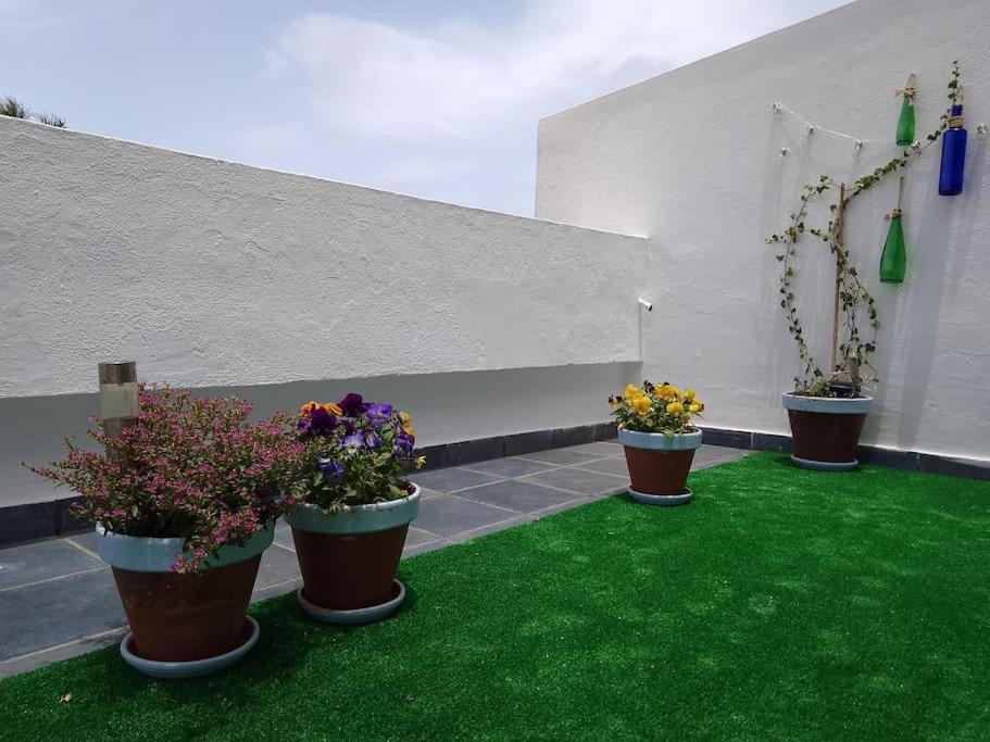 Apartamento Humboldt ,Island Paradise La Orotava Bagian luar foto