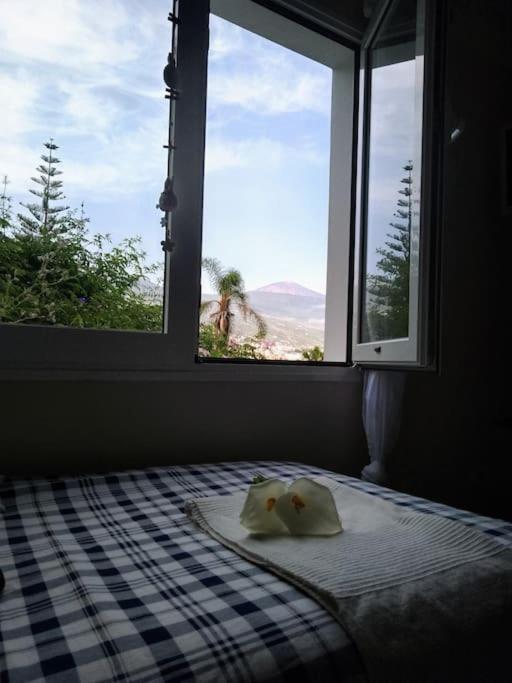 Apartamento Humboldt ,Island Paradise La Orotava Bagian luar foto